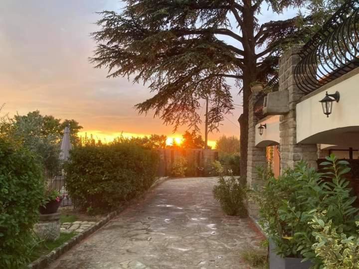 Bed and Breakfast Terre De Bacchus Вакерас Екстер'єр фото